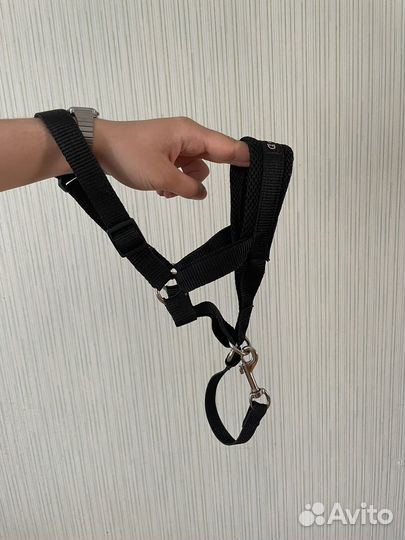 Недоуздок(халти)