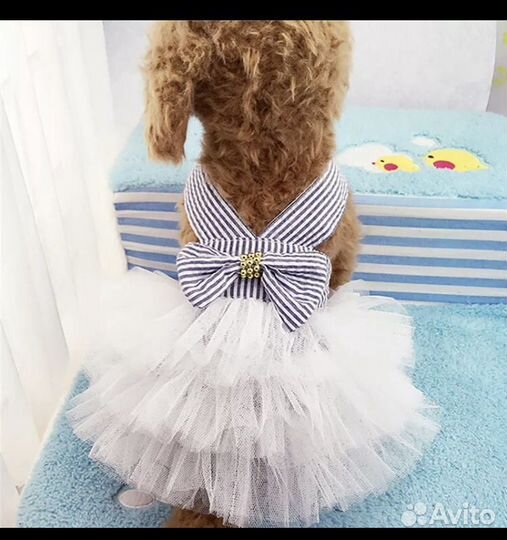 Платье для собаки