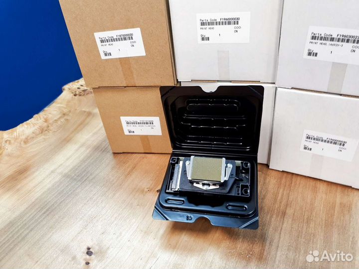 Epson dx5 F186000, F187000, F160010, Fa24010