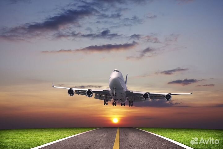 Упаковщик самолетов в аэропорт Домодедово 15/35