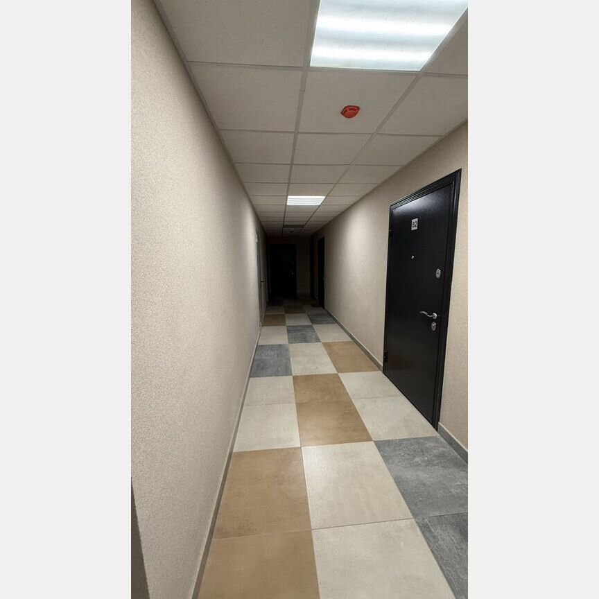 1-к. квартира, 55,6 м², 5/5 эт.