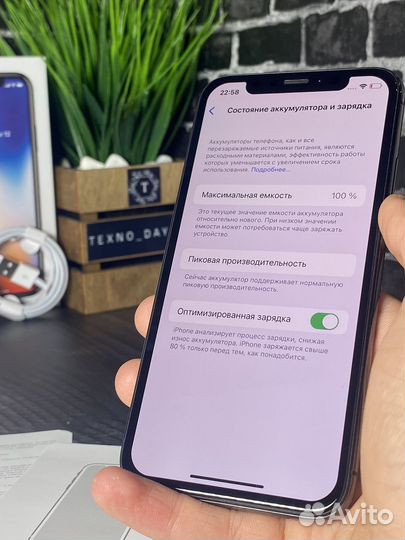 iPhone X, 256 ГБ