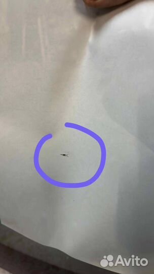 Стекло лобовое Audi A3 8V 2012 8V5845099B