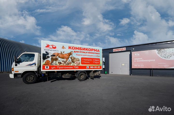 Удавка для собак gripalle кожаная двухслойная