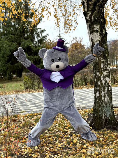 Мишка Тедди на праздник