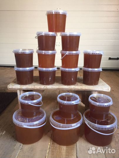 Мед Гречишный