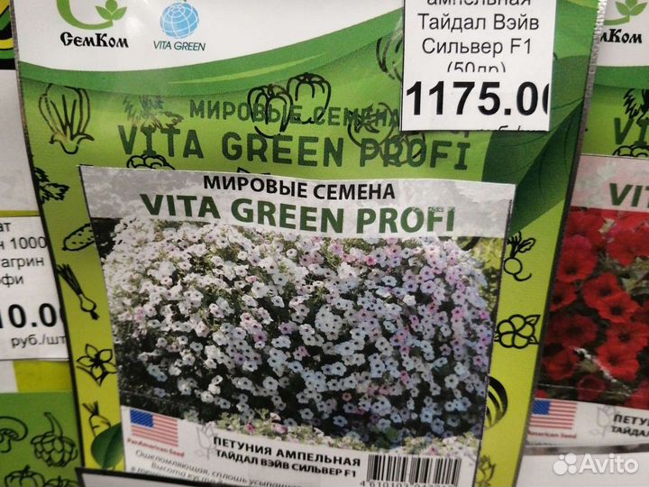 Петуния ампельная Тайдал Вэйв F1