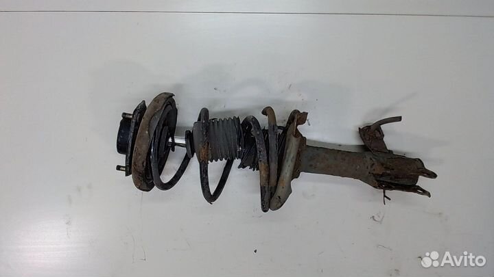 Амортизатор подвески Nissan Almera Tino, 2003