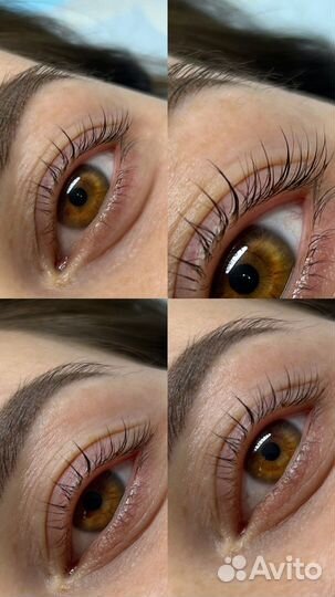 Обучение на бровиста и ламинированию ресниц