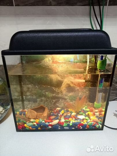 Аквариум 25 литров