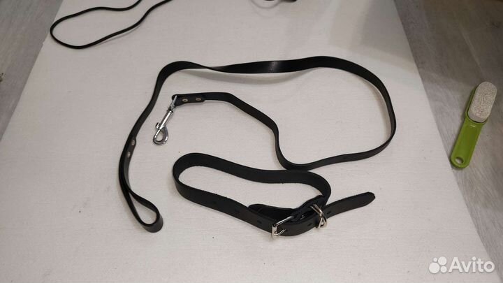 Два ошейника, поводок