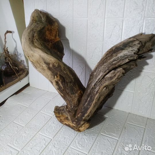 Дрифтвуд коряга