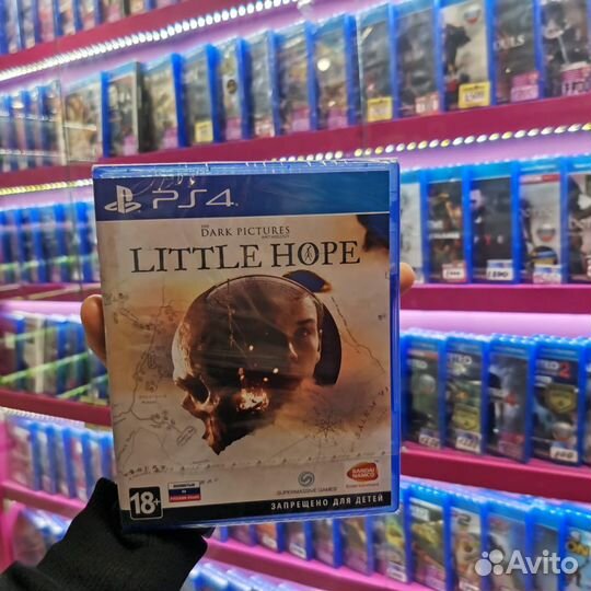 Диск PS4 The Dark Pictures: Little Hope