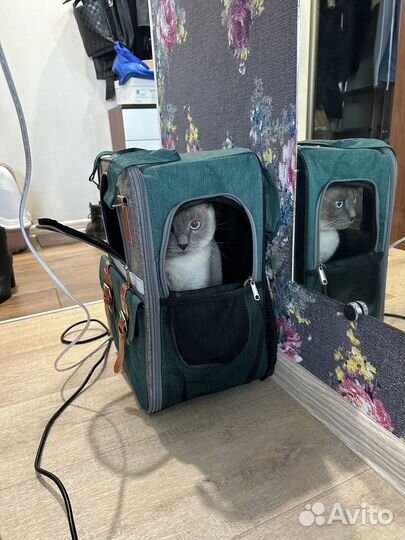 Сумка-переноска для домашних животных