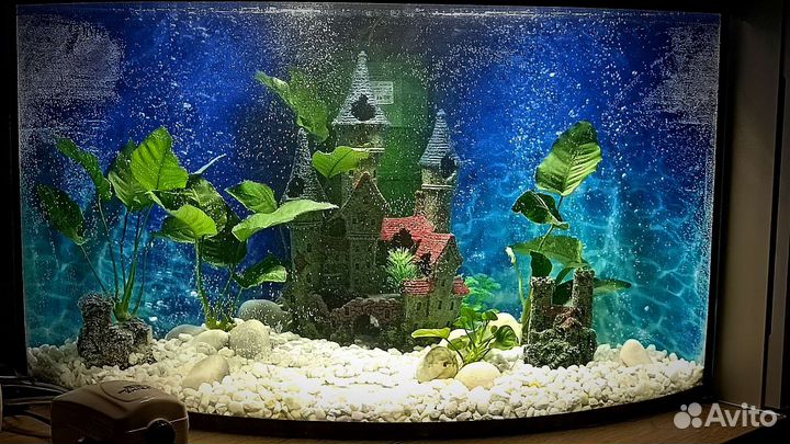 Аквариум 70 литров