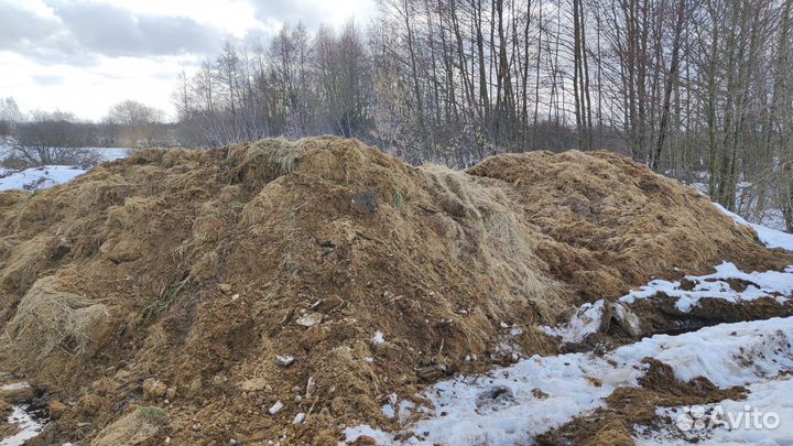 Конский навоз бесплатно