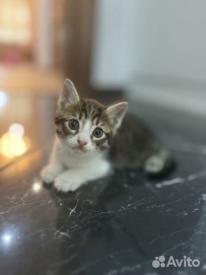 Мальчик 06.05.24