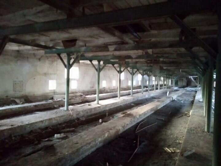 Помещение свободного назначения, 1050 м²