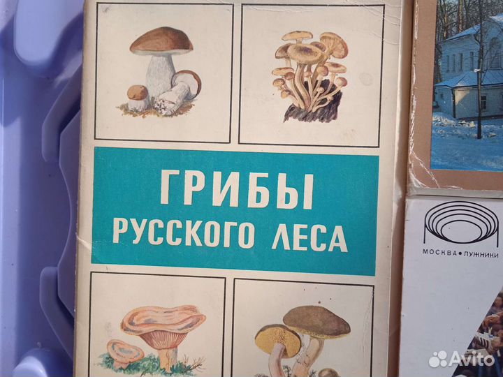 Серия открыток