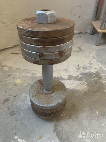 Гантеля 12 кг