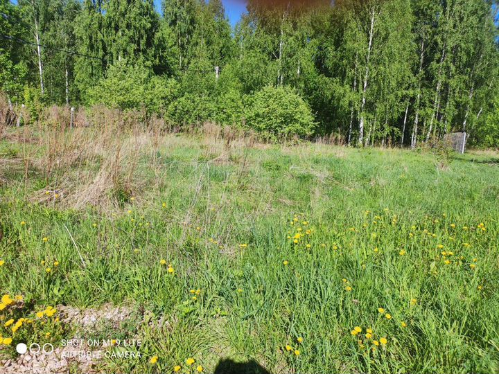 Участок 10 сот. (ИЖС)