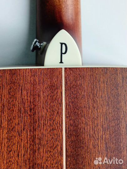 Гитара Parcwood s21-GT