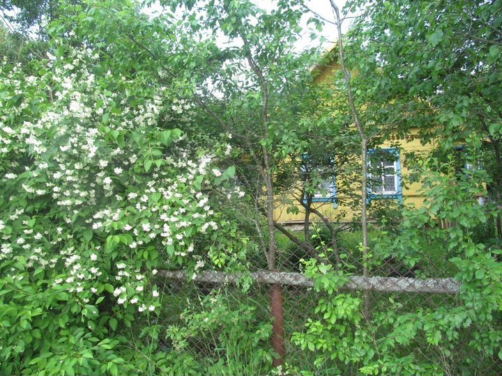 Дом 120 м² на участке 24 сот.