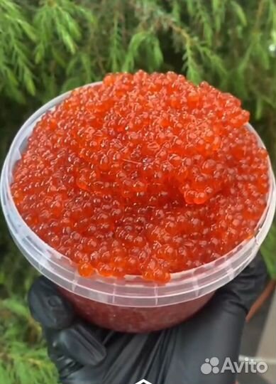 Красная икра