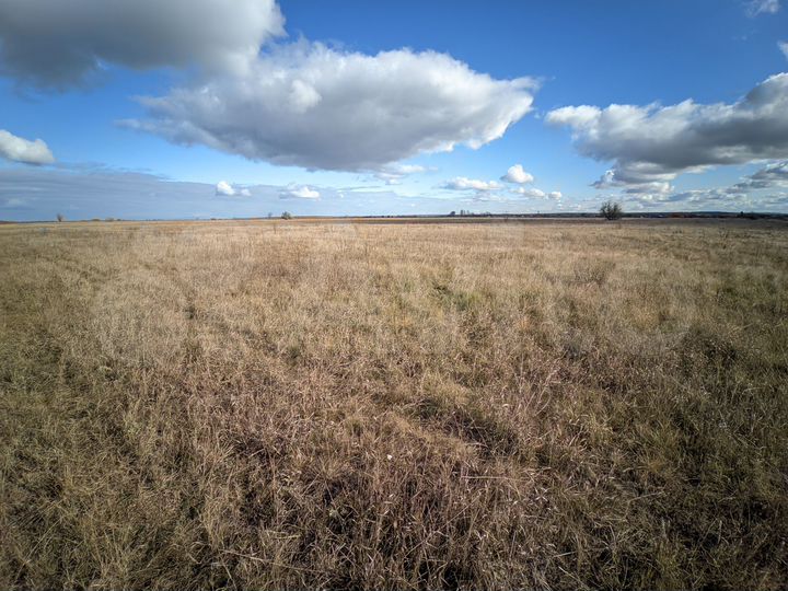 Участок 98,9 сот. (ИЖС)