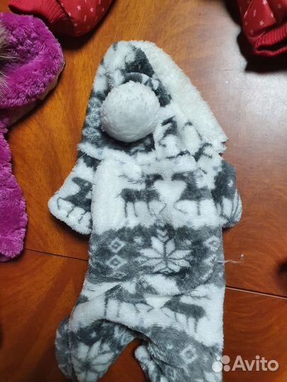 Одежда для маленькой собачки