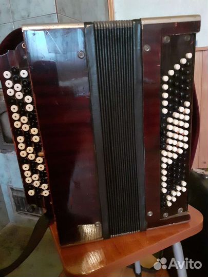 Баян Кирилловский. Северная Артель