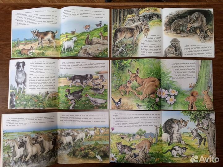 Книжки для малышей