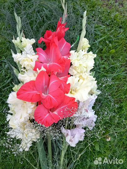 Букеты цветов