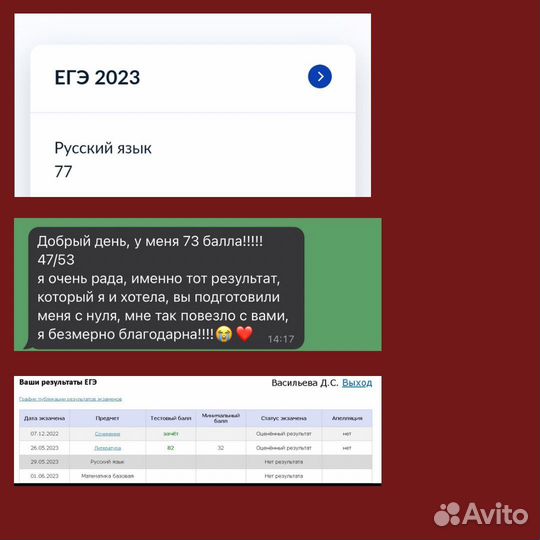 Репетитор по русскому языку и литературе. Егэ/Огэ