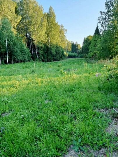 Участок 10 га (СНТ, ДНП)