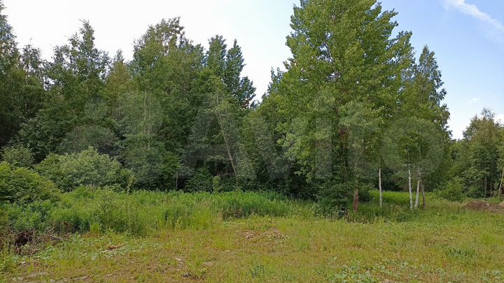 Участок 10 сот. (ИЖС)