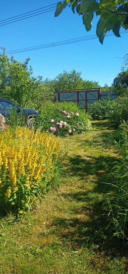 Дача 44 м² на участке 8 сот.