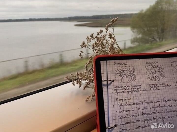 Репетитор по биологии