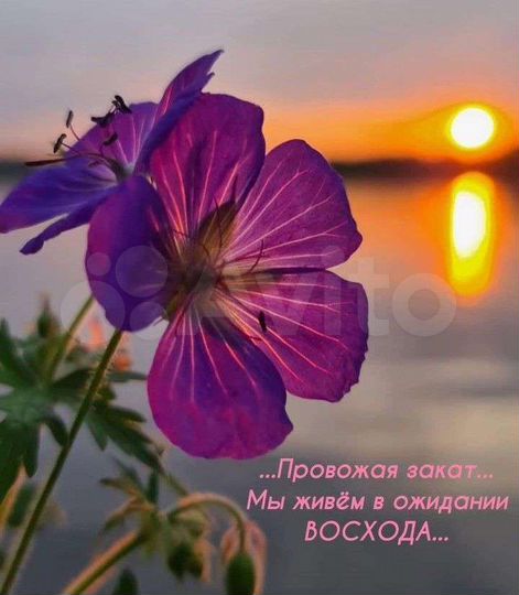 Гараж, 22 м²