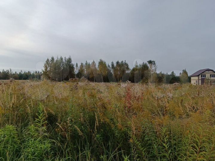 Участок 22 сот. (ИЖС)