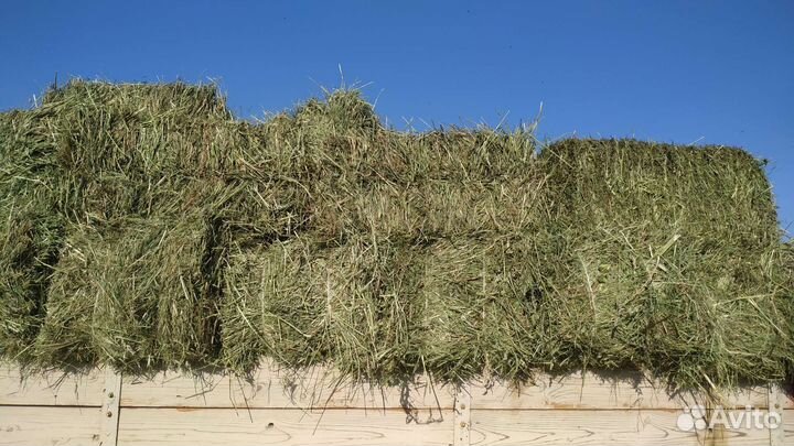 Сено в тюках