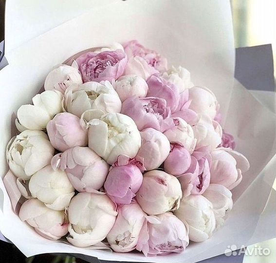 Пионы Букет пионов