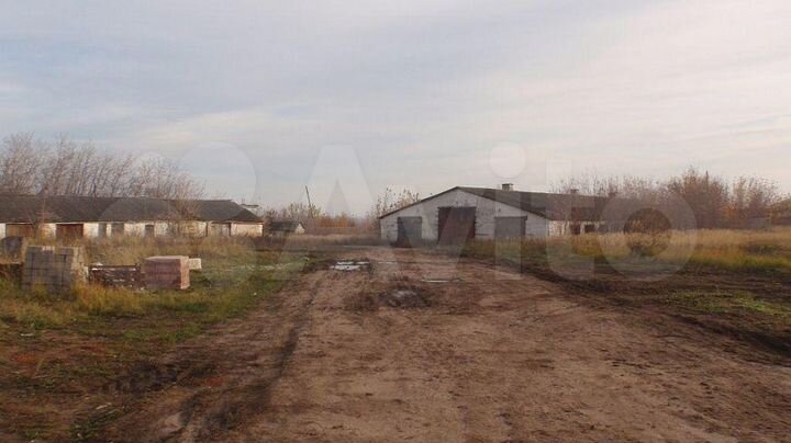 Участок 2,87 га (ИЖС)