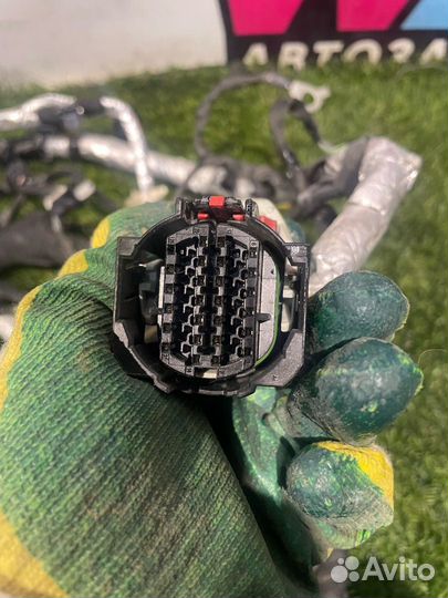 Проводка двигателя Ford Ranger 4 T6.2 2019