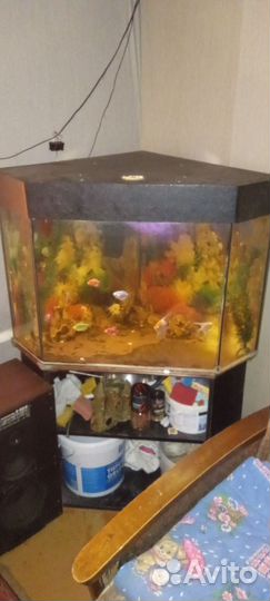 Аквариум угловой 110 л в тумбочкой с рыбками с