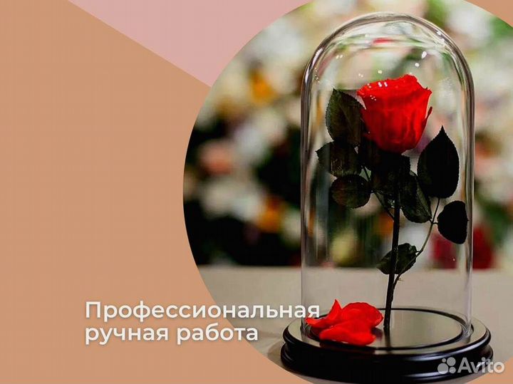 Вечная роза в колбе