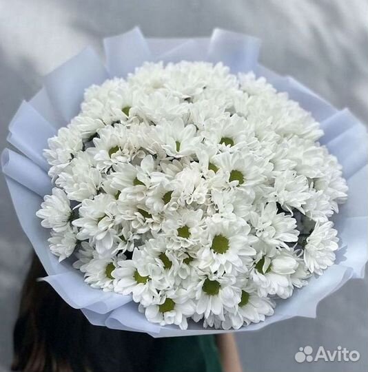Доставка букетов и цветов. Хризантема