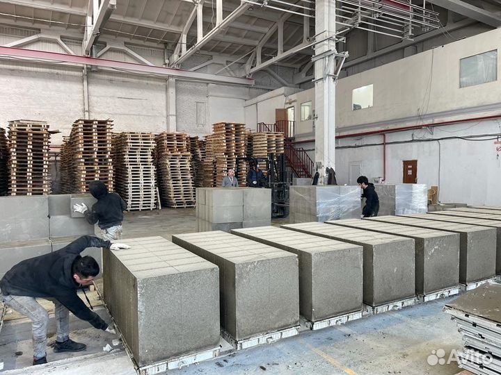 Газоблоки 600-300-100 D500