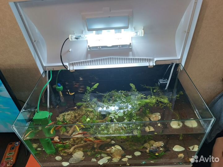 Аквариум aquael 54 литра