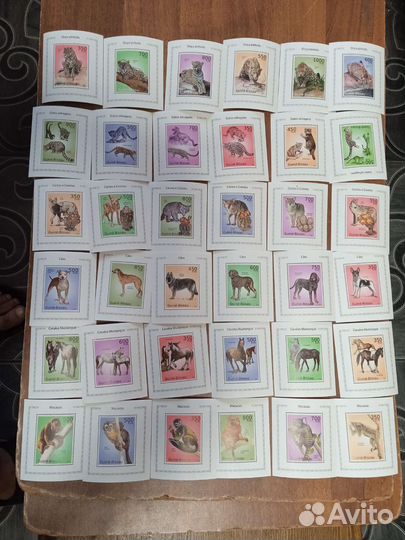 Чистые блоки фауна